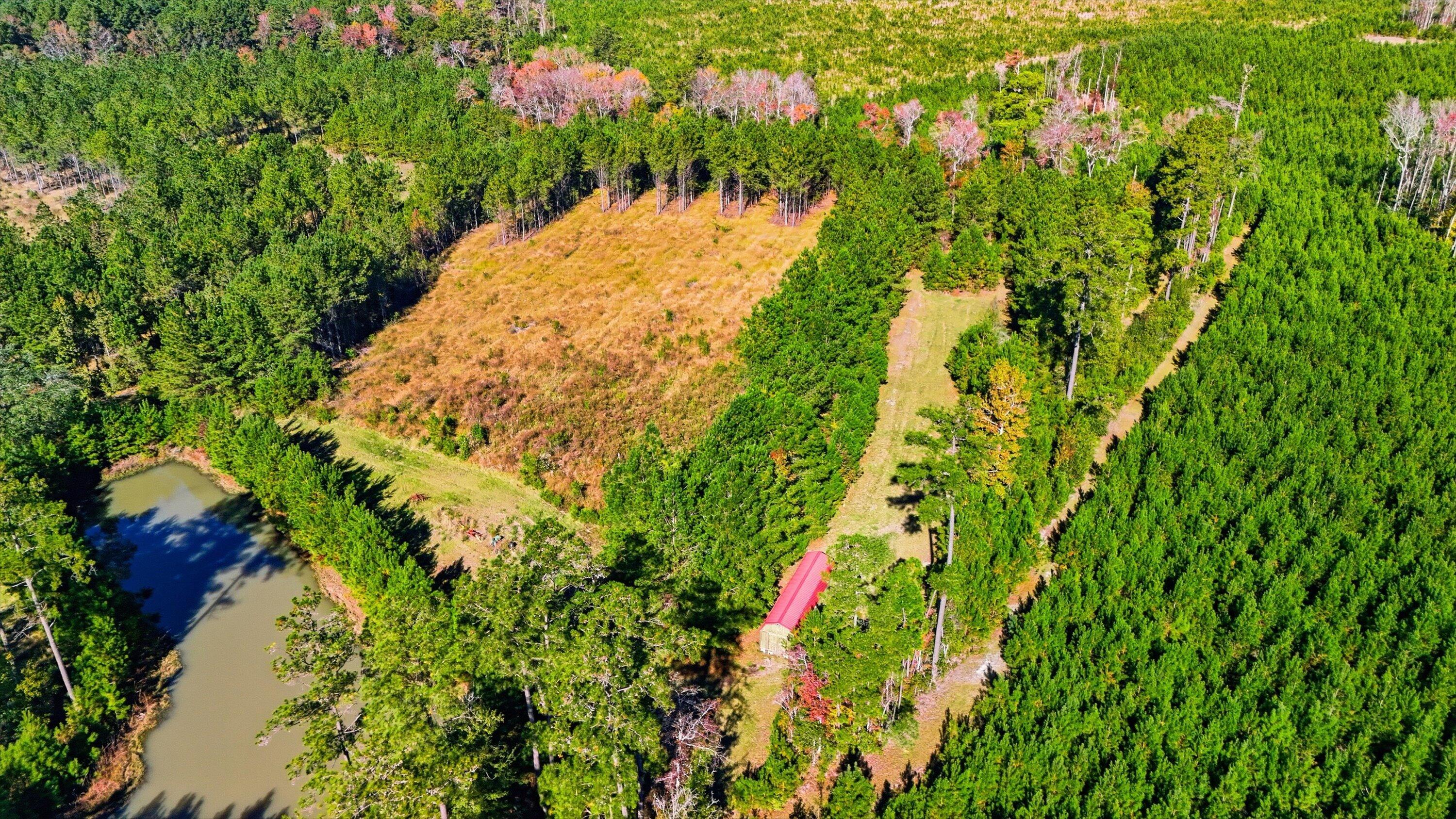815 State Rd S-15-526 Walterboro, SC 29488 - Photo 10 of 28 14-011_DJI_20251105102107_0032_D