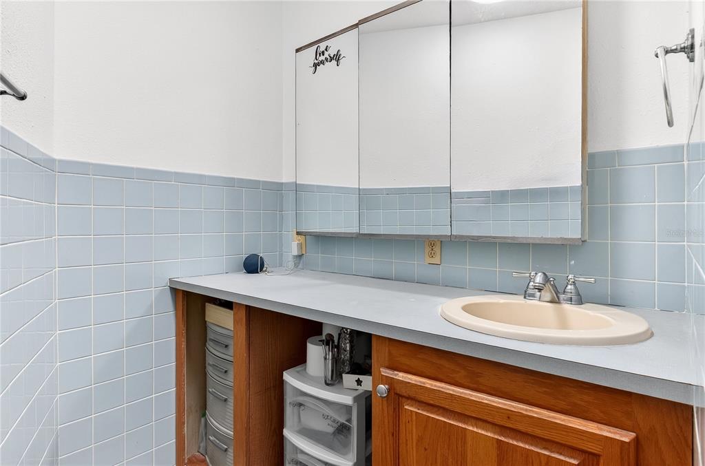 5304 Tillman Road Lakeland, FL 33810 - Photo 19 of 33 a bathroom with a sink and a mirror