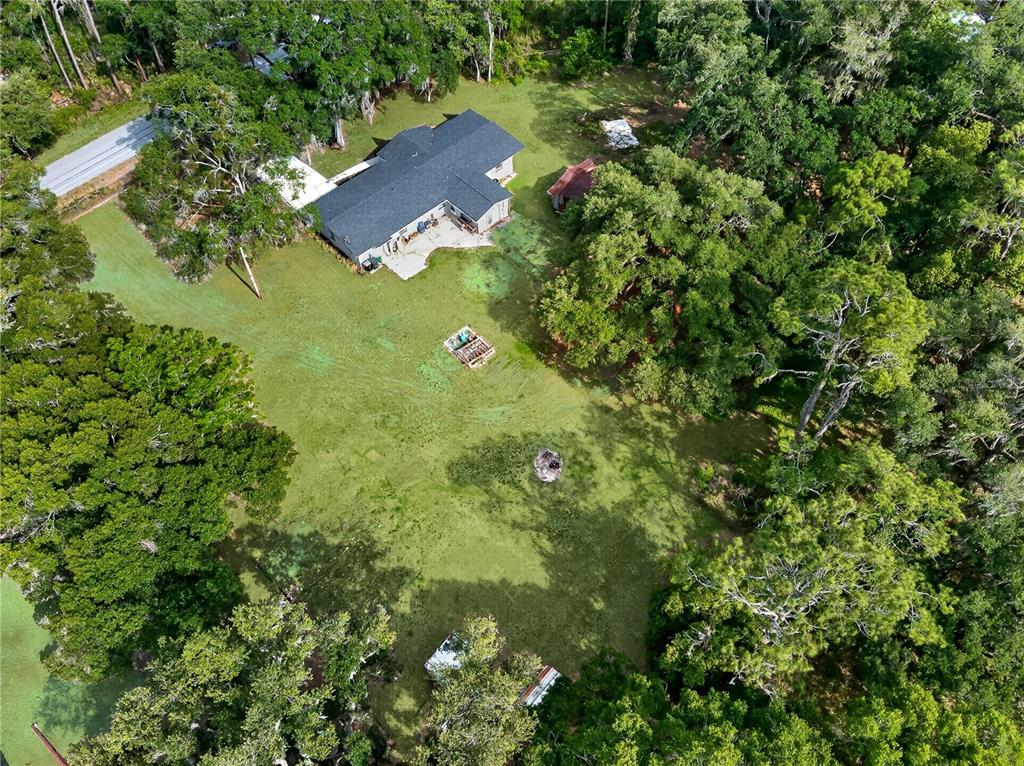5304 Tillman Road Lakeland, FL 33810 - Photo 29 of 33 a view of a forest