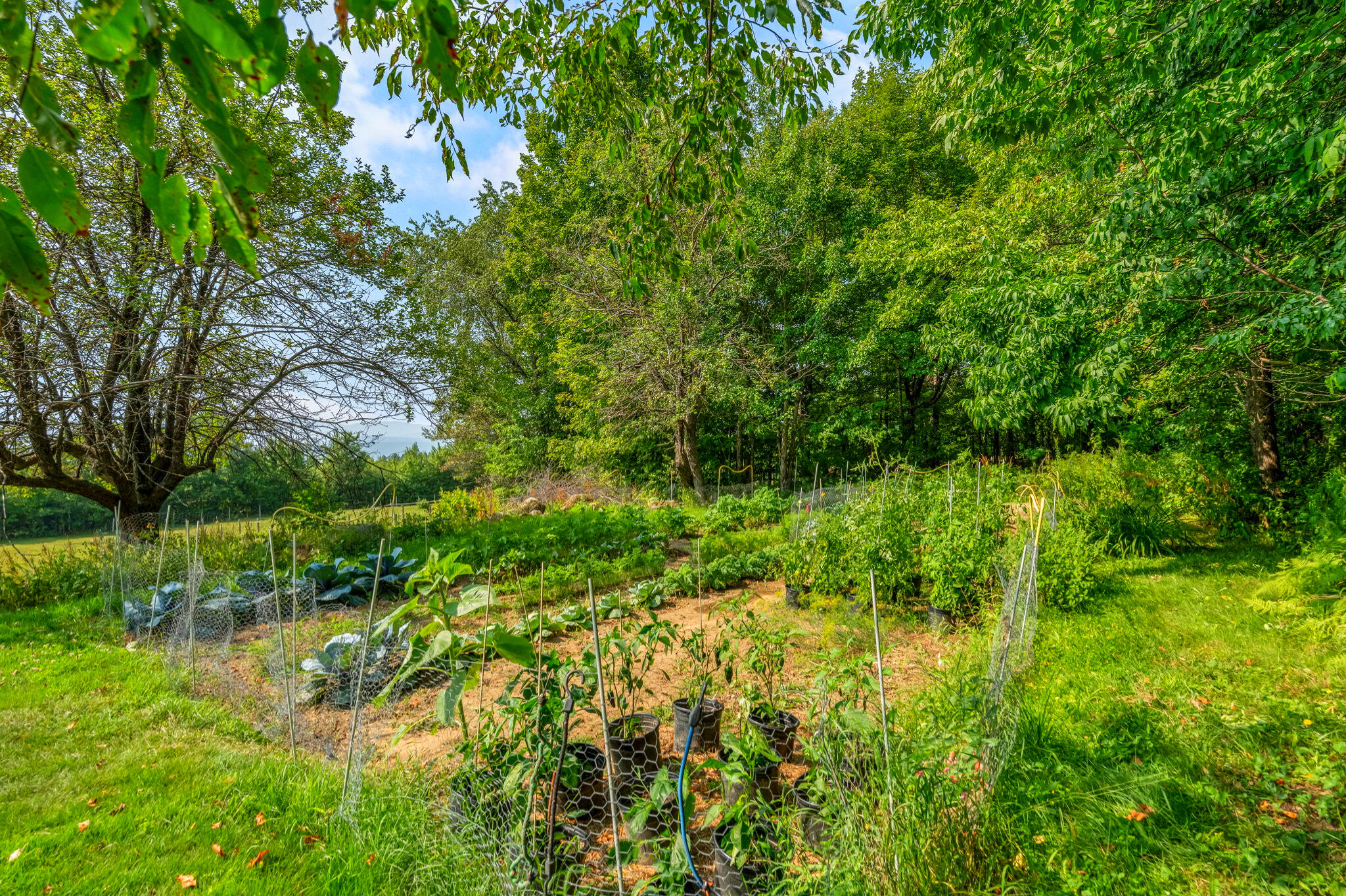 138 Bray Hill Road Phillips, ME 04966 - Photo 83 of 103