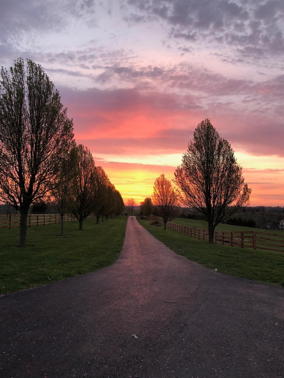 260 Sexton Road Harrodsburg, KY 40330 - Photo 81 of 82 Seasonal sunset at drive