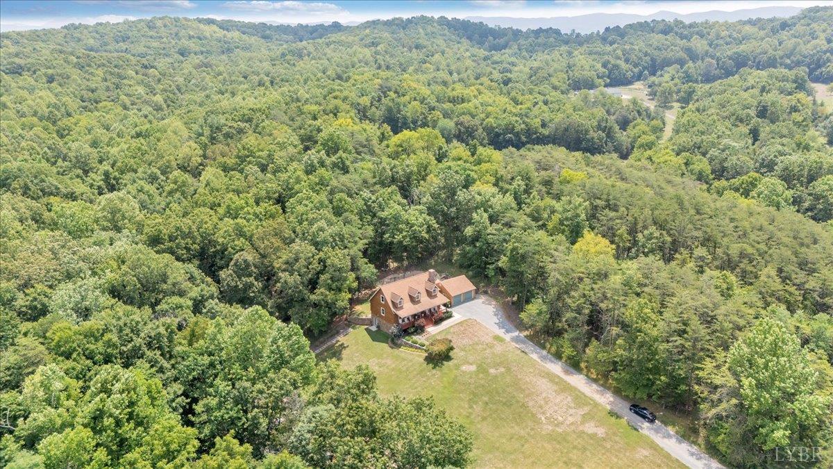 615 Muse Road Fincastle, VA 24090 - Photo 65 of 78 Gallery Image 65