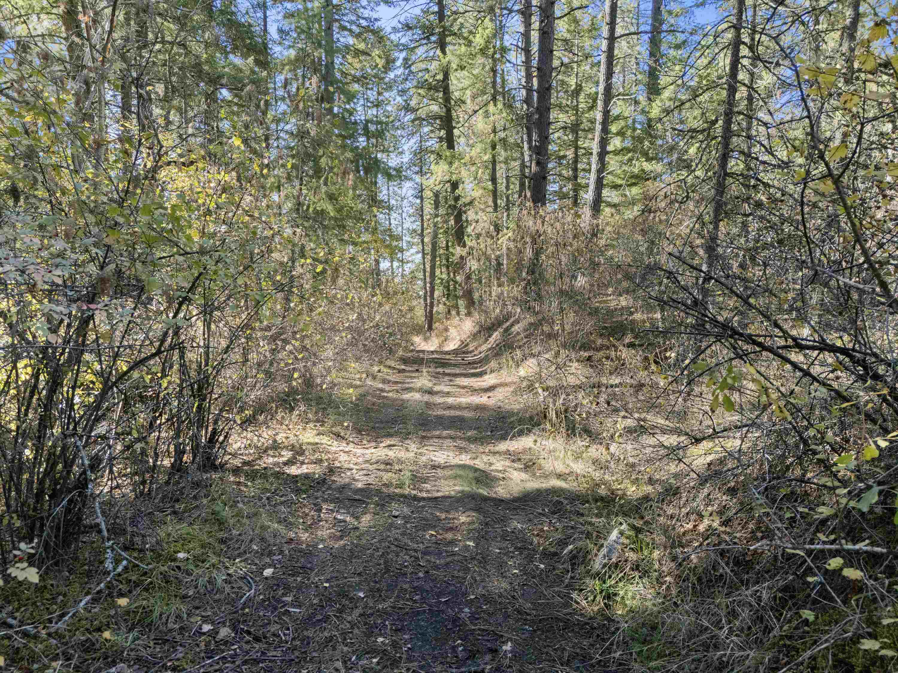 Nna North Madison Road Mead, WA 99021 - Photo 10 of 11 Gallery Image 10