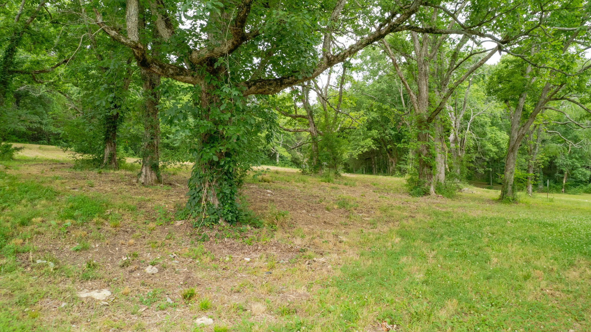 0 Morgan Road Rockvale, TN 37153 - Photo 8 of 24