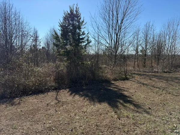 $115,000 | 0 Castlehill Drive, Bryant, AL 35958