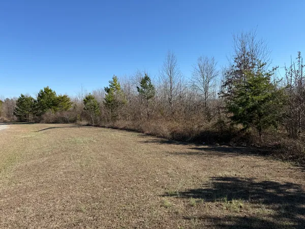 $115,000 | 0 Castlehill Drive, Bryant, AL 35958