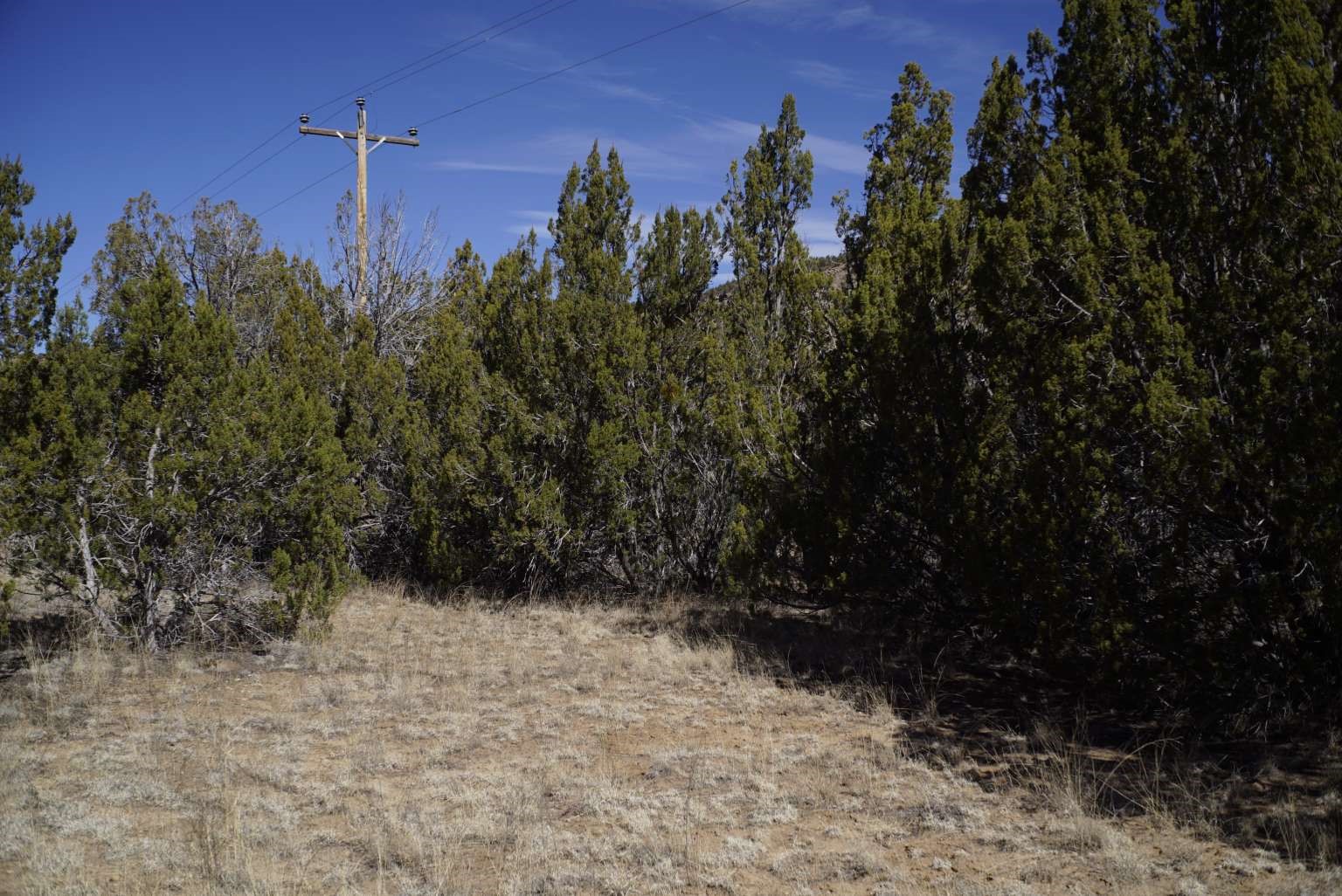 0 County B29c Road Villanueva, NM 87583 - Photo 8 of 33