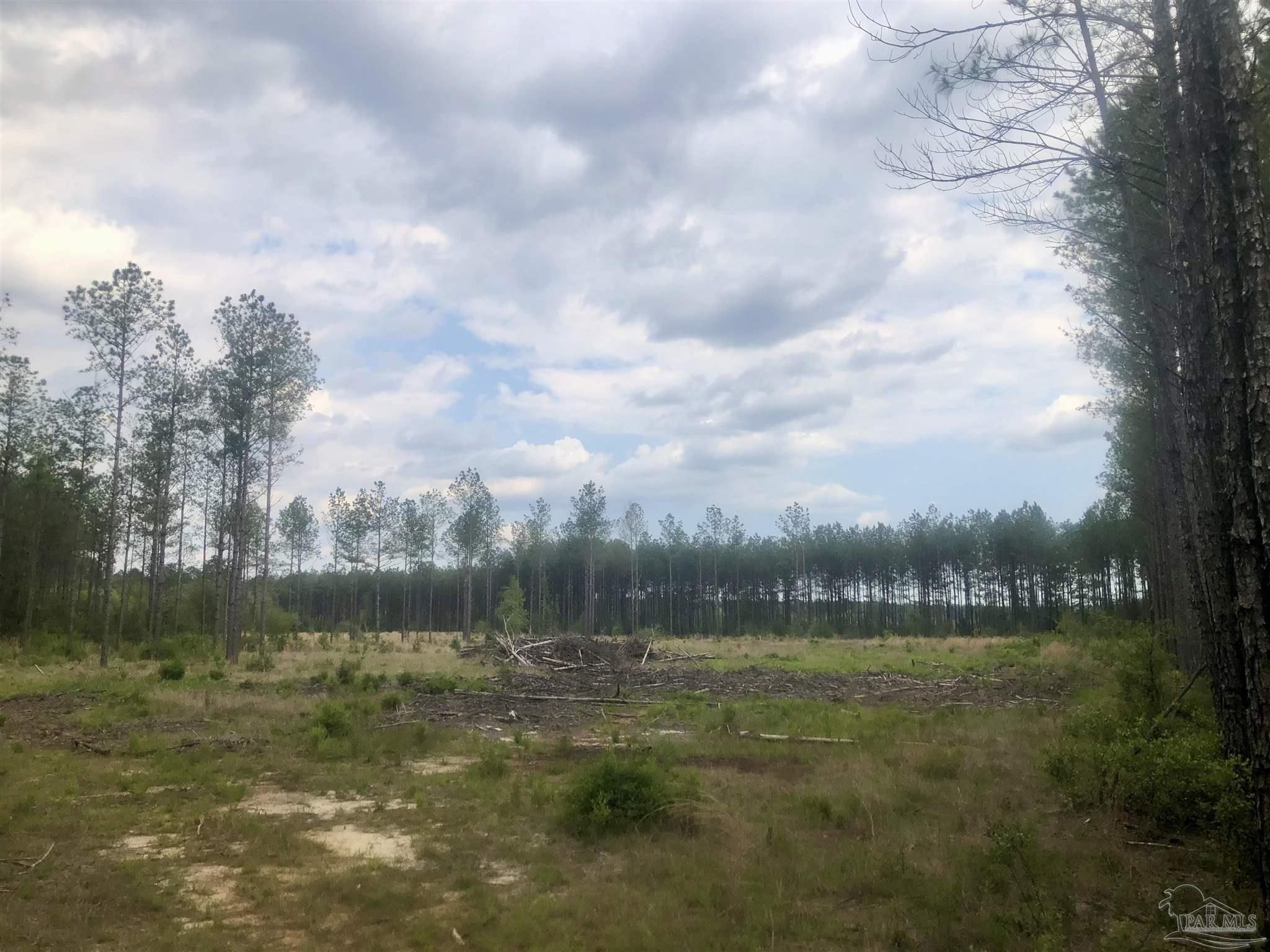 Parcel E Northeast Walther Road Milton, FL 32570 - Photo 3 of 6 Gallery Image 3