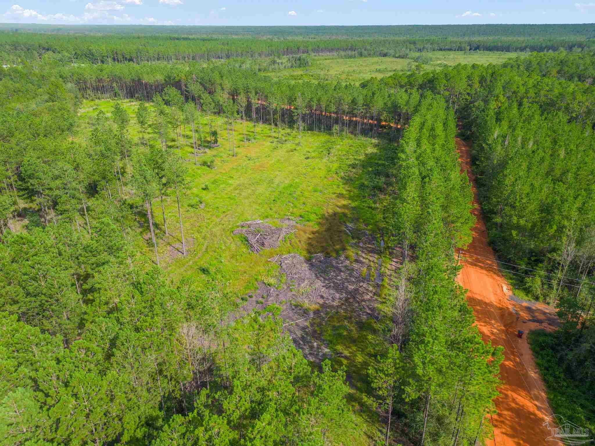 Parcel E Northeast Walther Road Milton, FL 32570 - Photo 5 of 6 Gallery Image 5