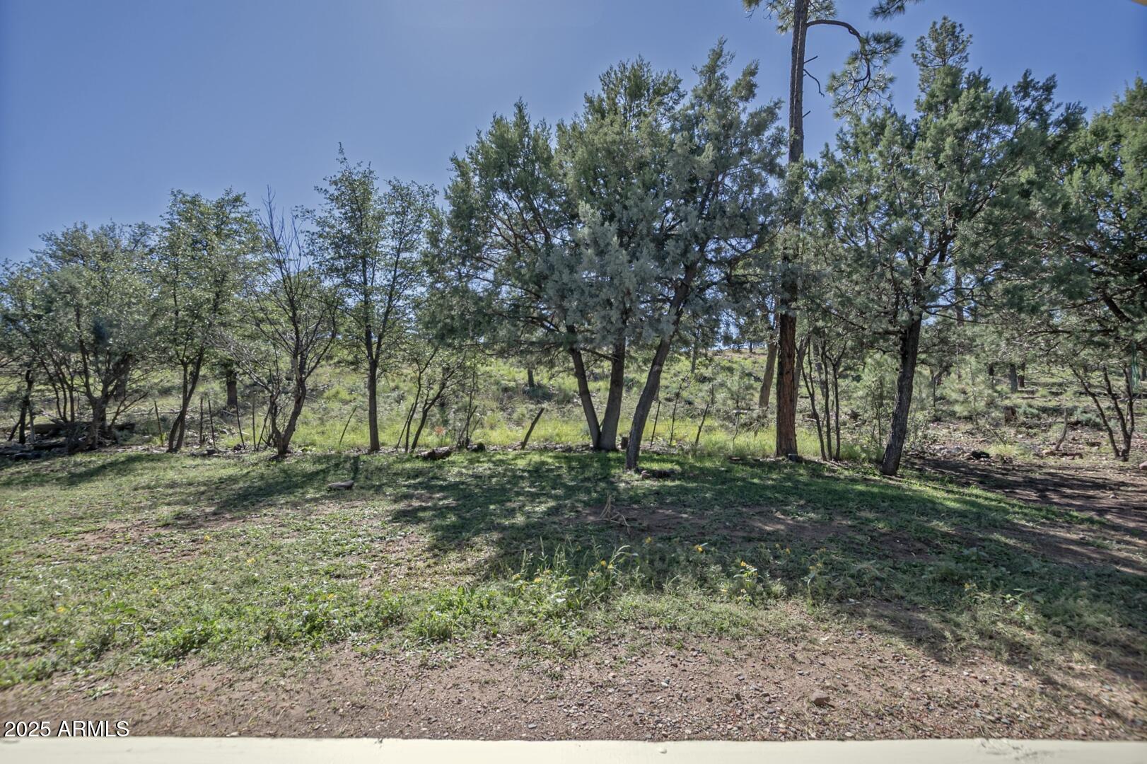 6253 Sharyn Road Pine, AZ 85544 - Photo 42 of 56 IMG_ 41
