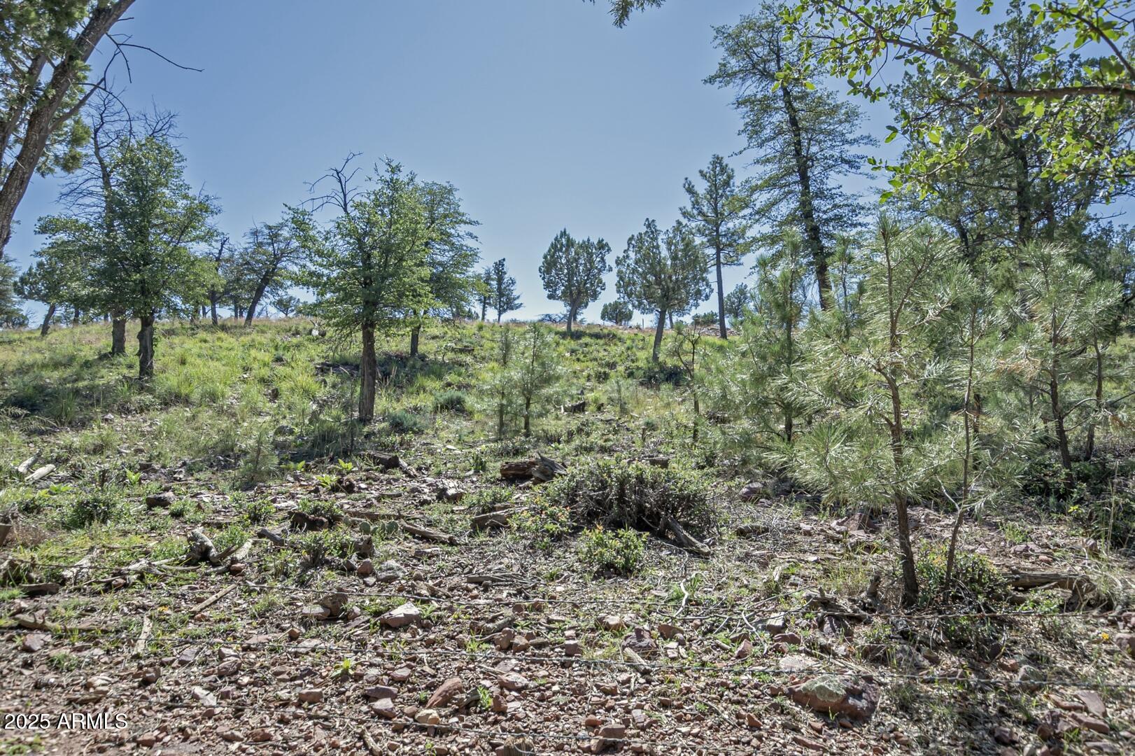 6253 Sharyn Road Pine, AZ 85544 - Photo 43 of 56 IMG_ 44