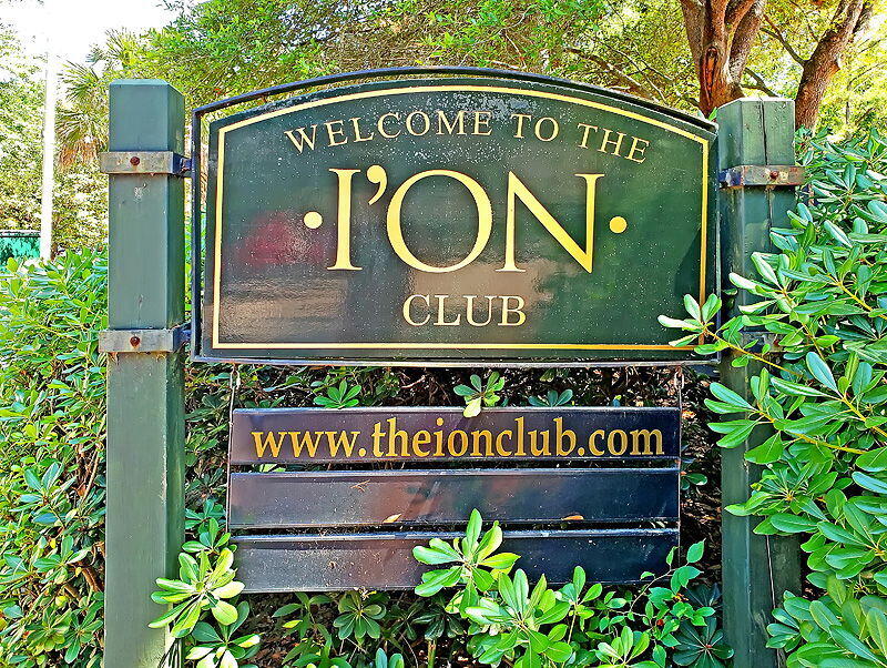 64 Sowell Street Mount Pleasant, SC 29464 - Photo 58 of 60 1-copy