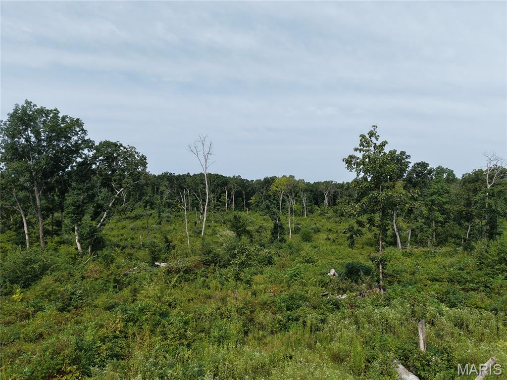 188.7 North Service Road West Sullivan, MO 63080 - Photo 8 of 66 Gallery Image 8