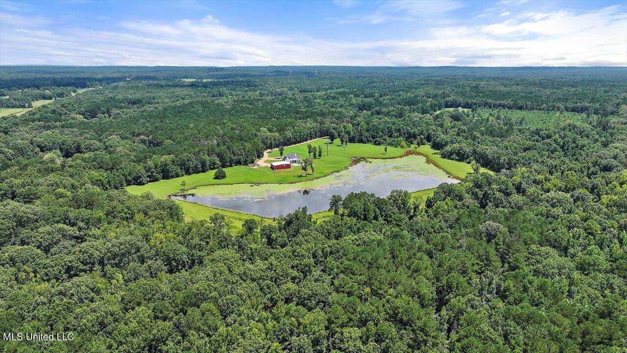297 Barnes Road Florence, MS 39073 - Photo 117 of 170 082-297 Barnes Rd