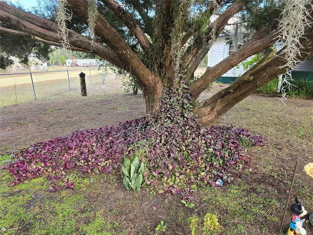 $135,900 | 240 Kitty Avenue, Interlachen, FL 32148