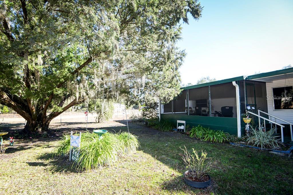 240 Kitty Avenue Interlachen, FL 32148 - Photo 27 of 44 a view of outdoor space yard and patio