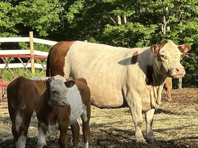 $599,000 | 200 Fontaine Lane, East Montpelier, VT 05651