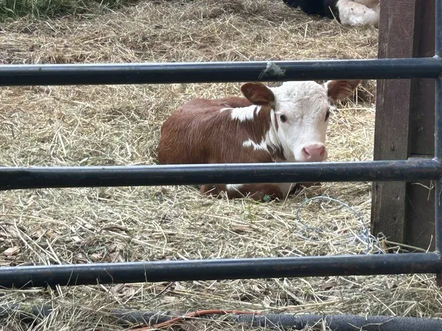 $599,000 | 200 Fontaine Lane, East Montpelier, VT 05651