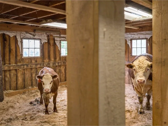 $599,000 | 200 Fontaine Lane, East Montpelier, VT 05651