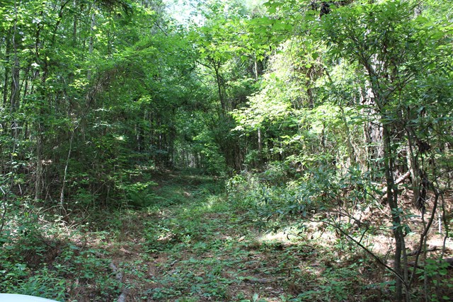 3 Happy Hollow Road Fortson, GA 31808 - Photo 1 of 3 Main View