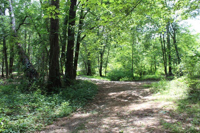 3 Happy Hollow Road Fortson, GA 31808 - Photo 2 of 3 Gallery Image 2