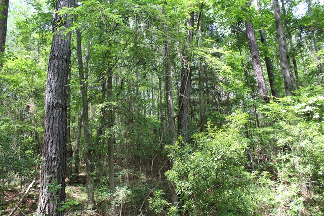 3 Happy Hollow Road Fortson, GA 31808 - Photo 3 of 3 Gallery Image 3