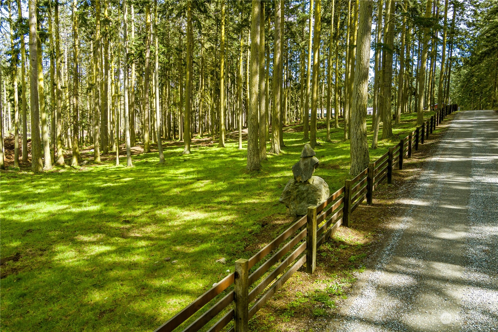 4656 Monkey Hill Road Oak Harbor, WA 98277 - Photo 12 of 40 a view of yard with green space