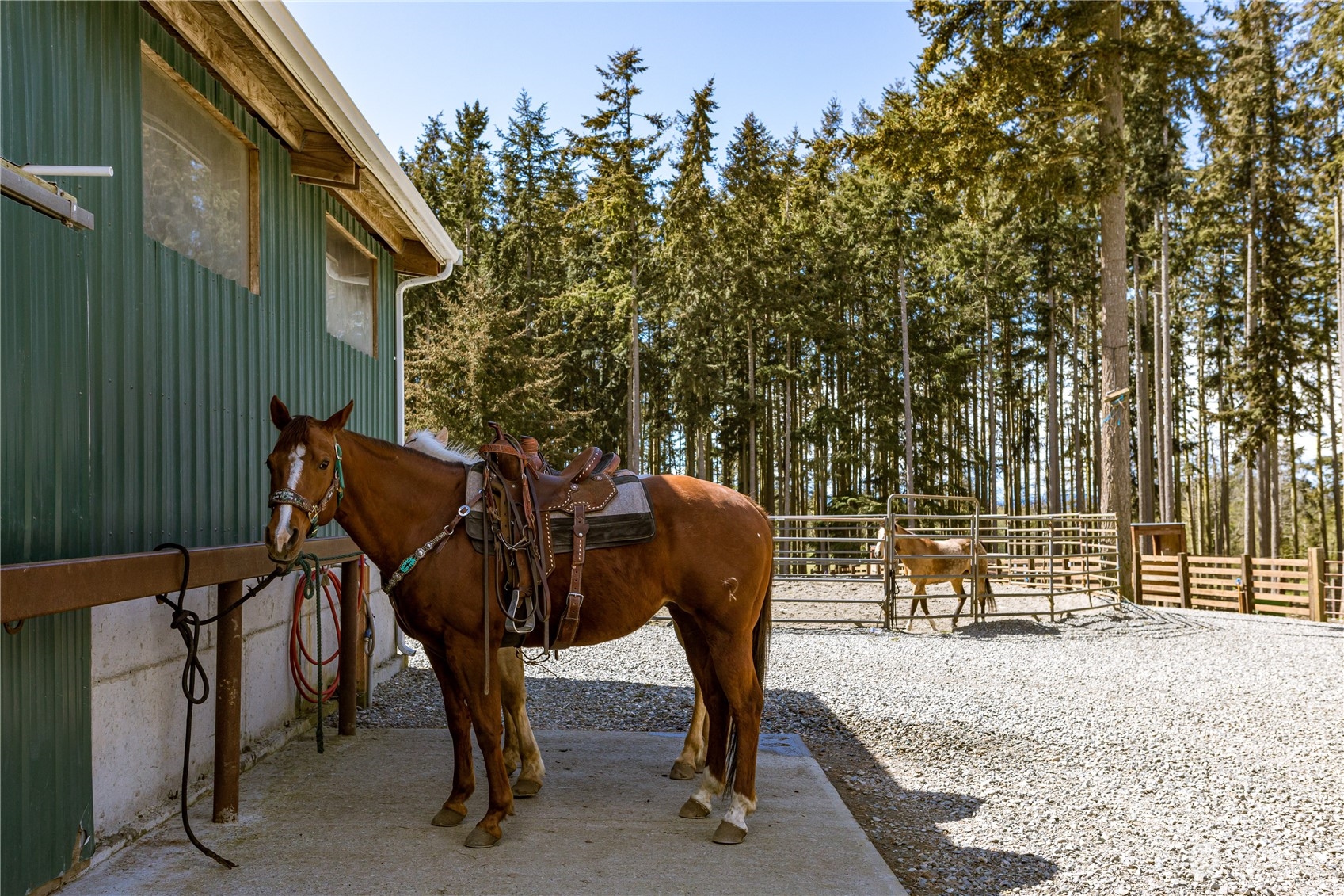 4656 Monkey Hill Road Oak Harbor, WA 98277 - Photo 14 of 40 a view of outdoor space yard and patio