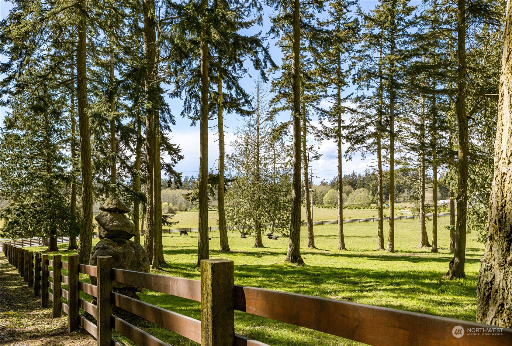 4656 Monkey Hill Road Oak Harbor, WA 98277 - Photo 21 of 40 a view of a yard with an outdoor space
