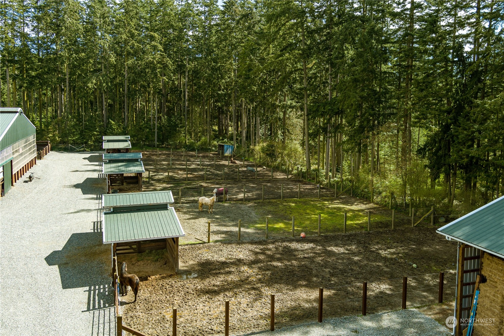 4656 Monkey Hill Road Oak Harbor, WA 98277 - Photo 7 of 40 a view of a yard with chairs