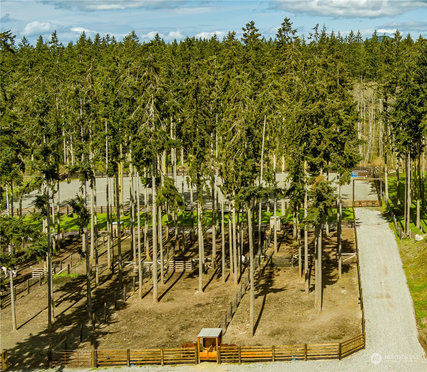 4656 Monkey Hill Road Oak Harbor, WA 98277 - Photo 10 of 40 a view of an outdoor space