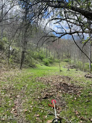 $10,000 | Tbd Crabtree Hollow, Clintwood, VA 24228