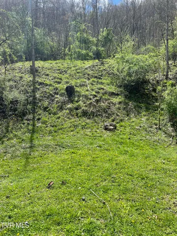 $10,000 | Tbd Crabtree Hollow, Clintwood, VA 24228