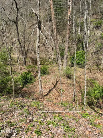 $10,000 | Tbd Crabtree Hollow, Clintwood, VA 24228