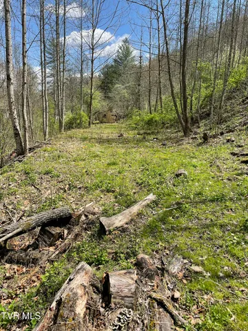 $10,000 | Tbd Crabtree Hollow, Clintwood, VA 24228