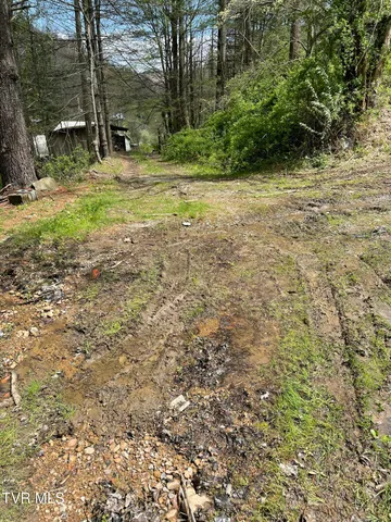 $10,000 | Tbd Crabtree Hollow, Clintwood, VA 24228