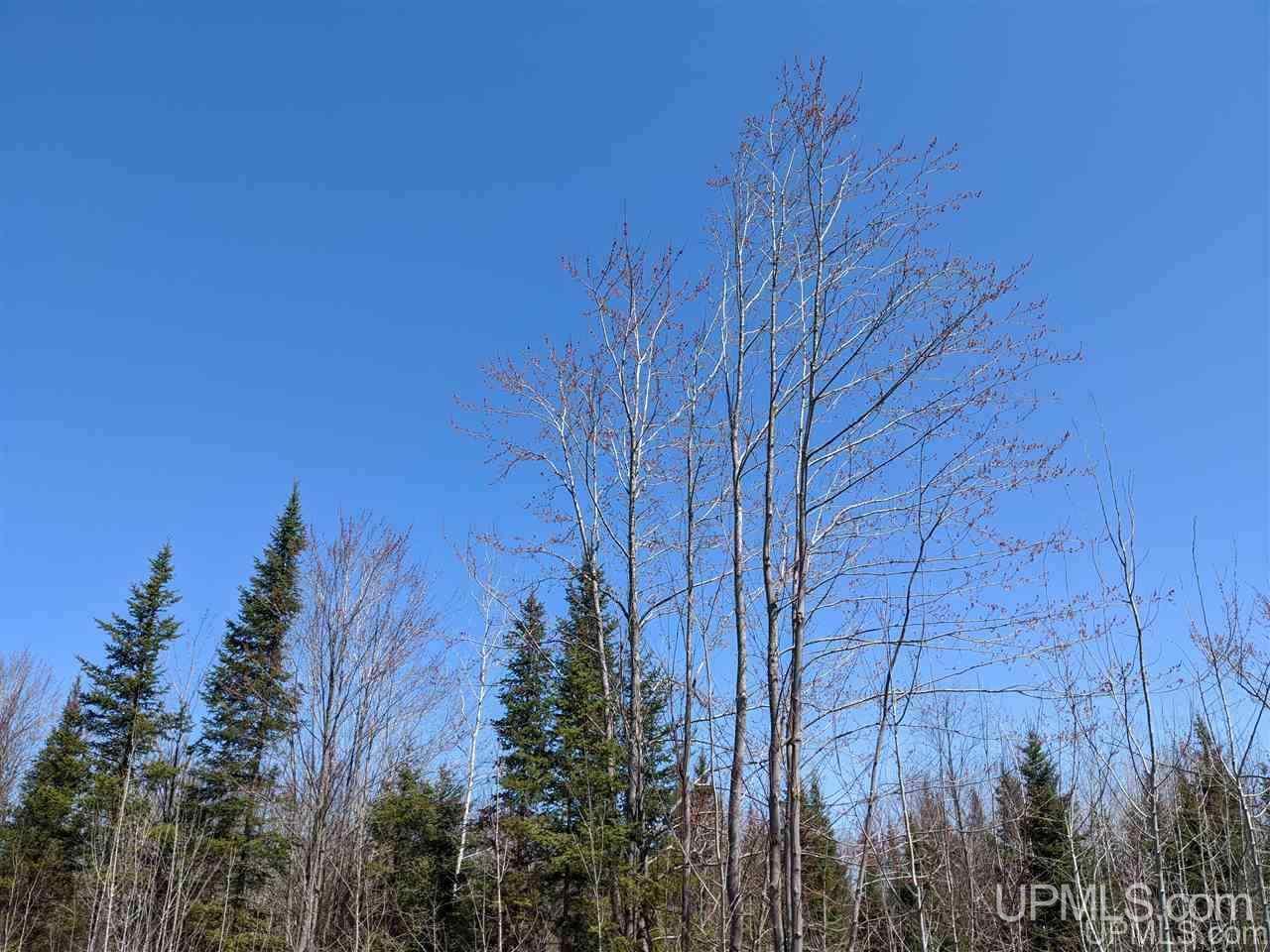 Tbd Off Leeman Road, Unit SENW NESW Sagola, MI 49881 - Photo 2 of 18