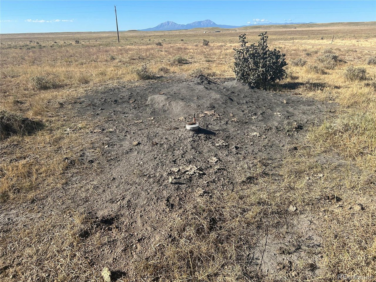 48 Colorado Buffalo Ranch Rye, CO 81069 - Photo 14 of 15