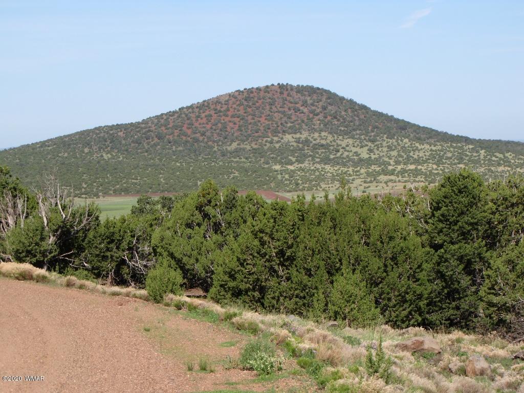 Tbd Ranch Road Concho, AZ 85924 - Photo 1 of 3