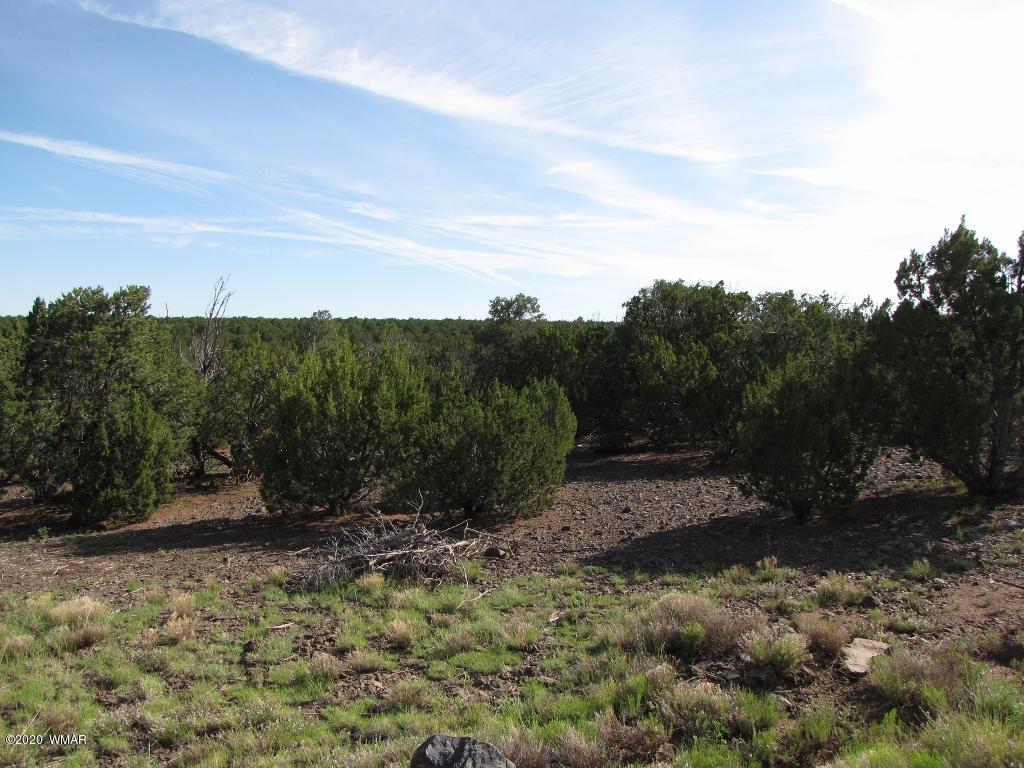 Tbd Ranch Road Concho, AZ 85924 - Photo 2 of 3