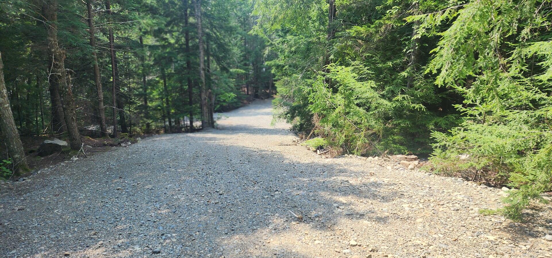 Lot J Lot J Howard Lake Road Robbinston, ME 04671 - Photo 10 of 16 20240722_135753