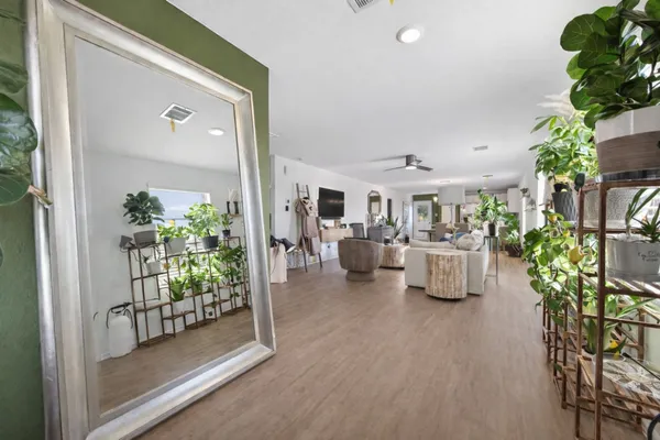 a living room with furniture and a potted plant