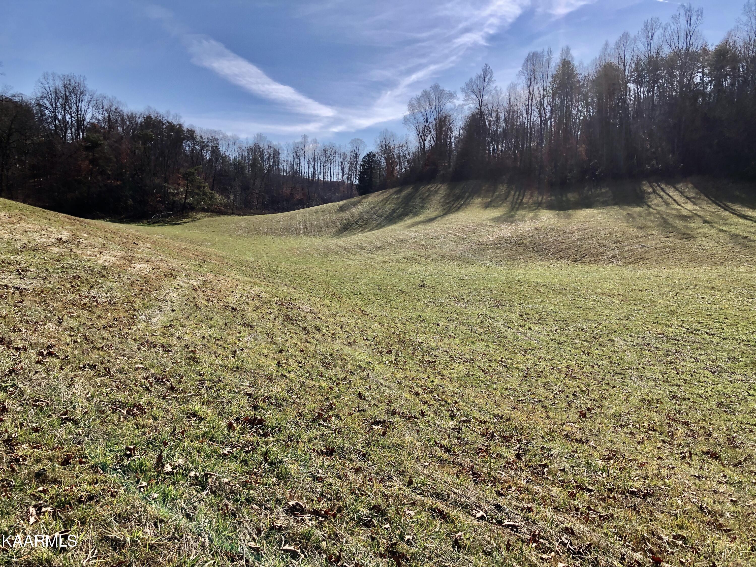 West Trent Valley Road Sneedville, TN 37869 - Photo 22 of 26 IMG_0274