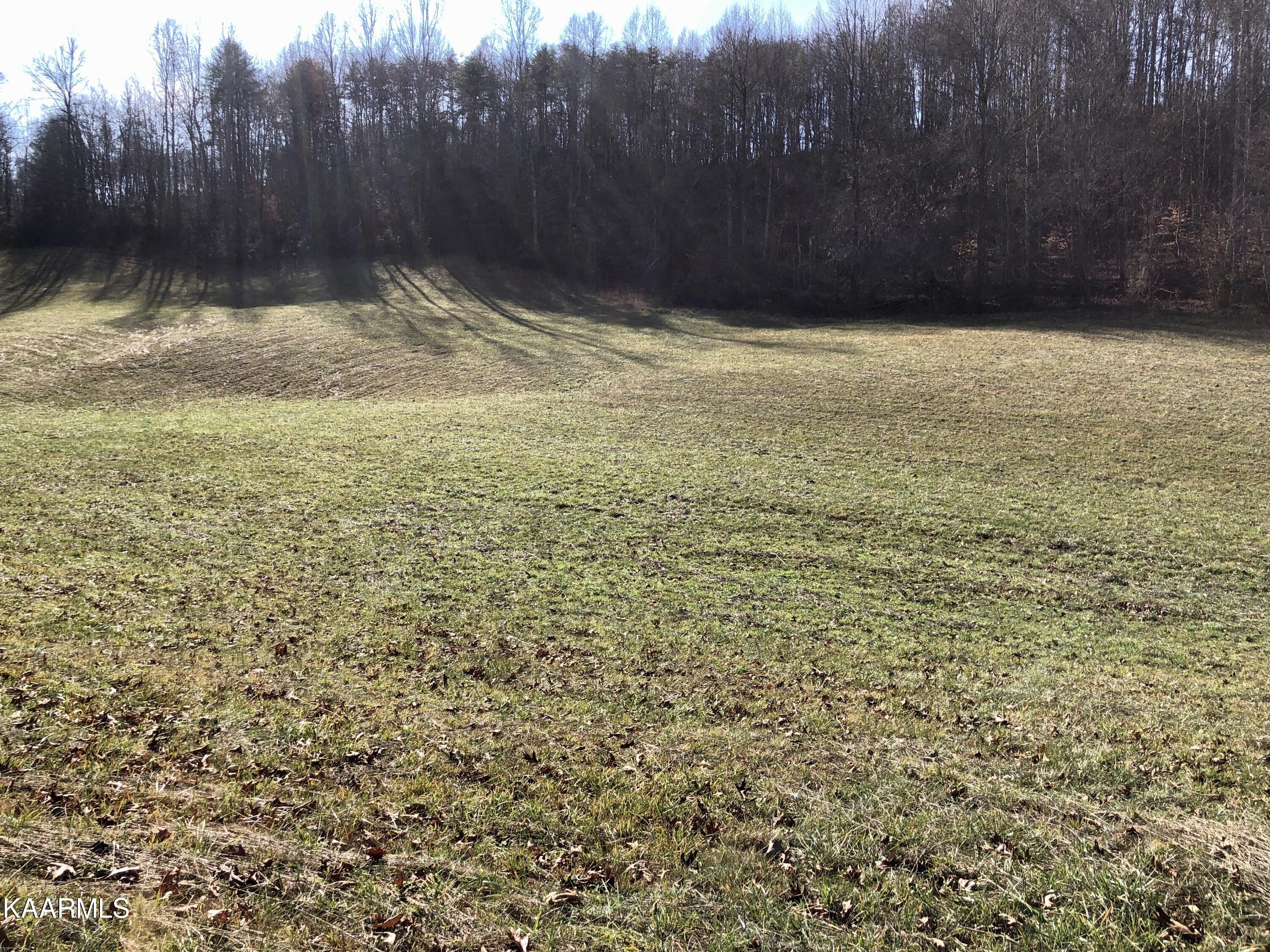 West Trent Valley Road Sneedville, TN 37869 - Photo 23 of 26 IMG_0275