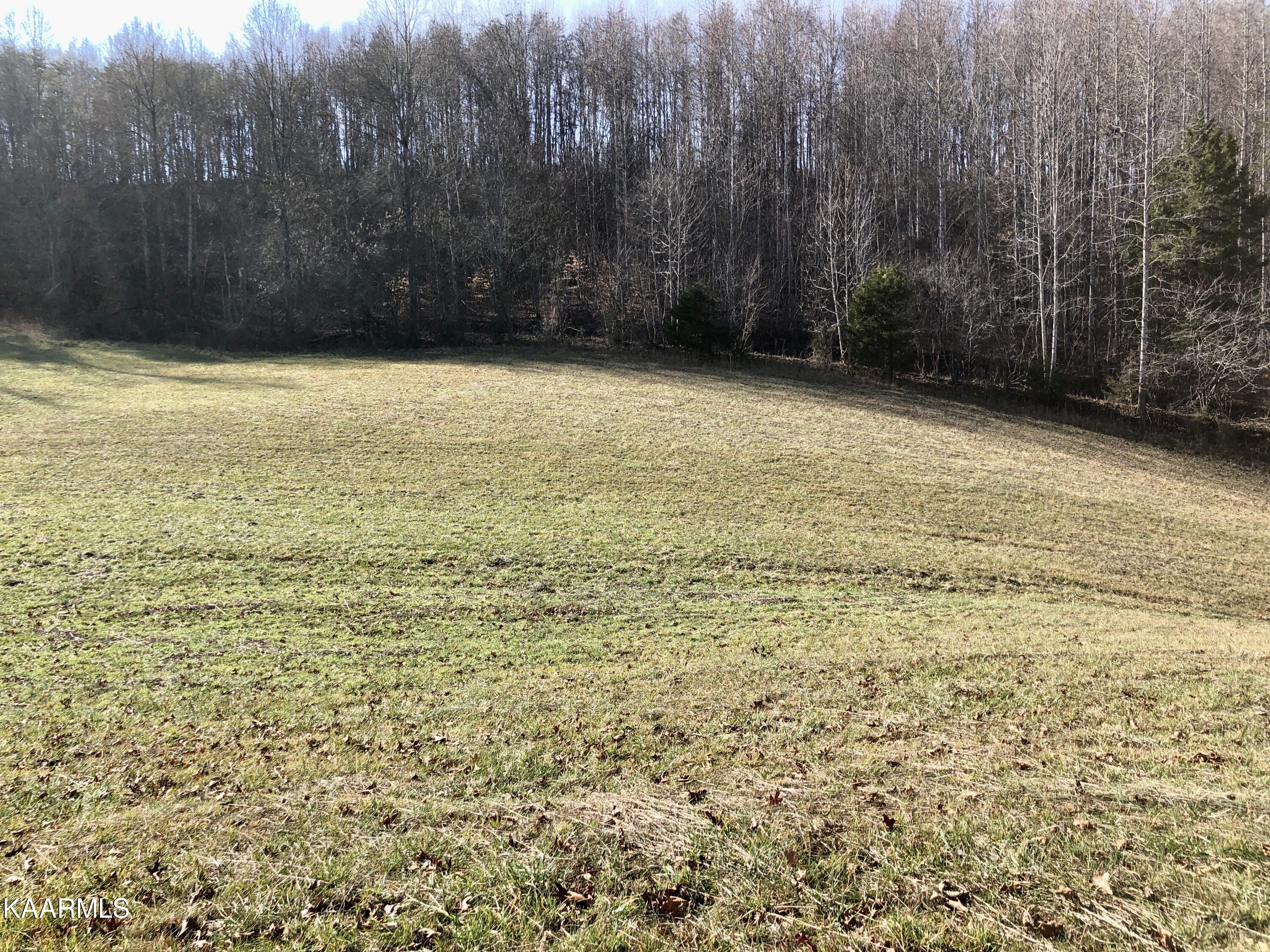 West Trent Valley Road Sneedville, TN 37869 - Photo 24 of 26 IMG_0276