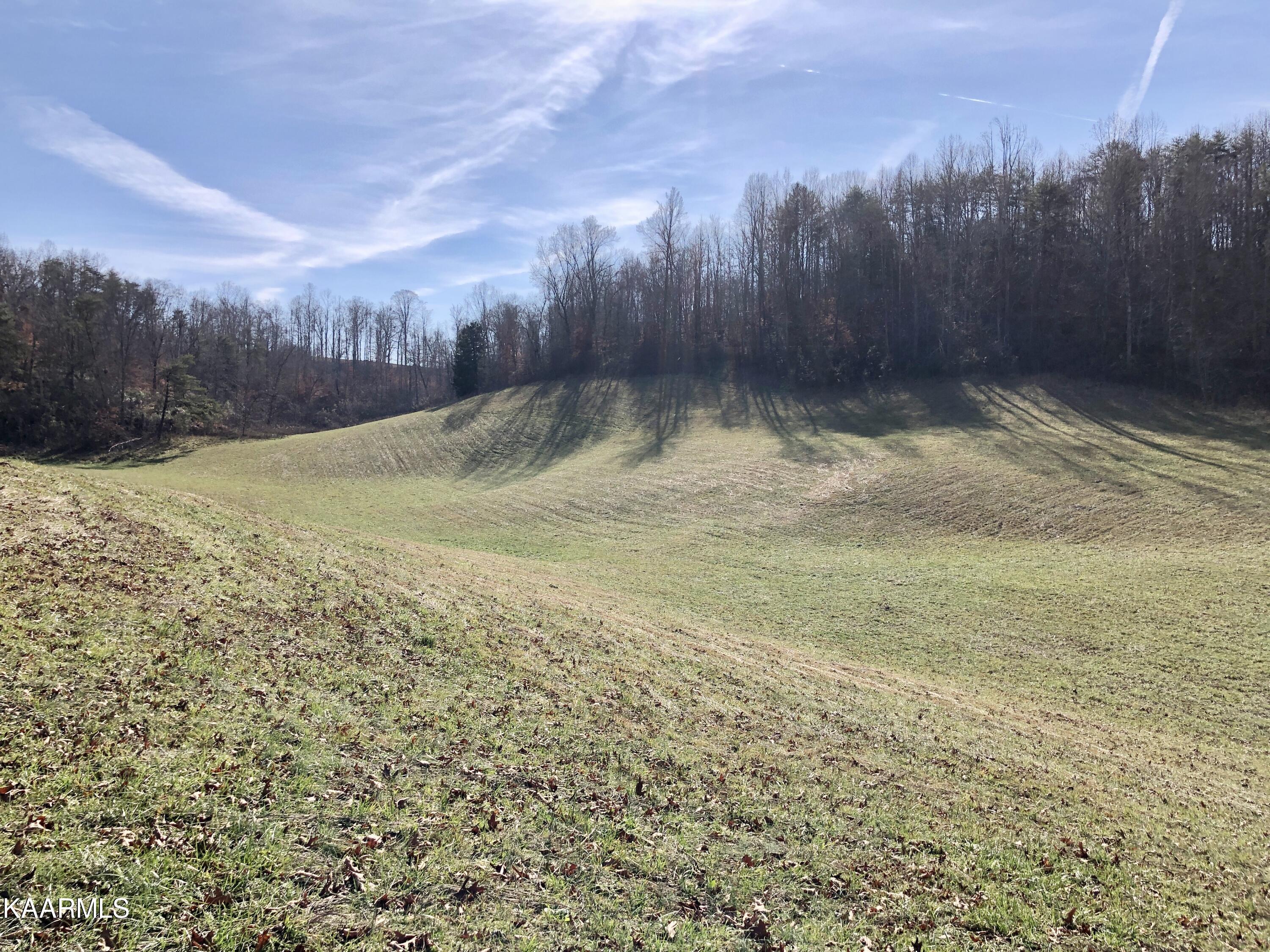West Trent Valley Road Sneedville, TN 37869 - Photo 25 of 26 IMG_0277