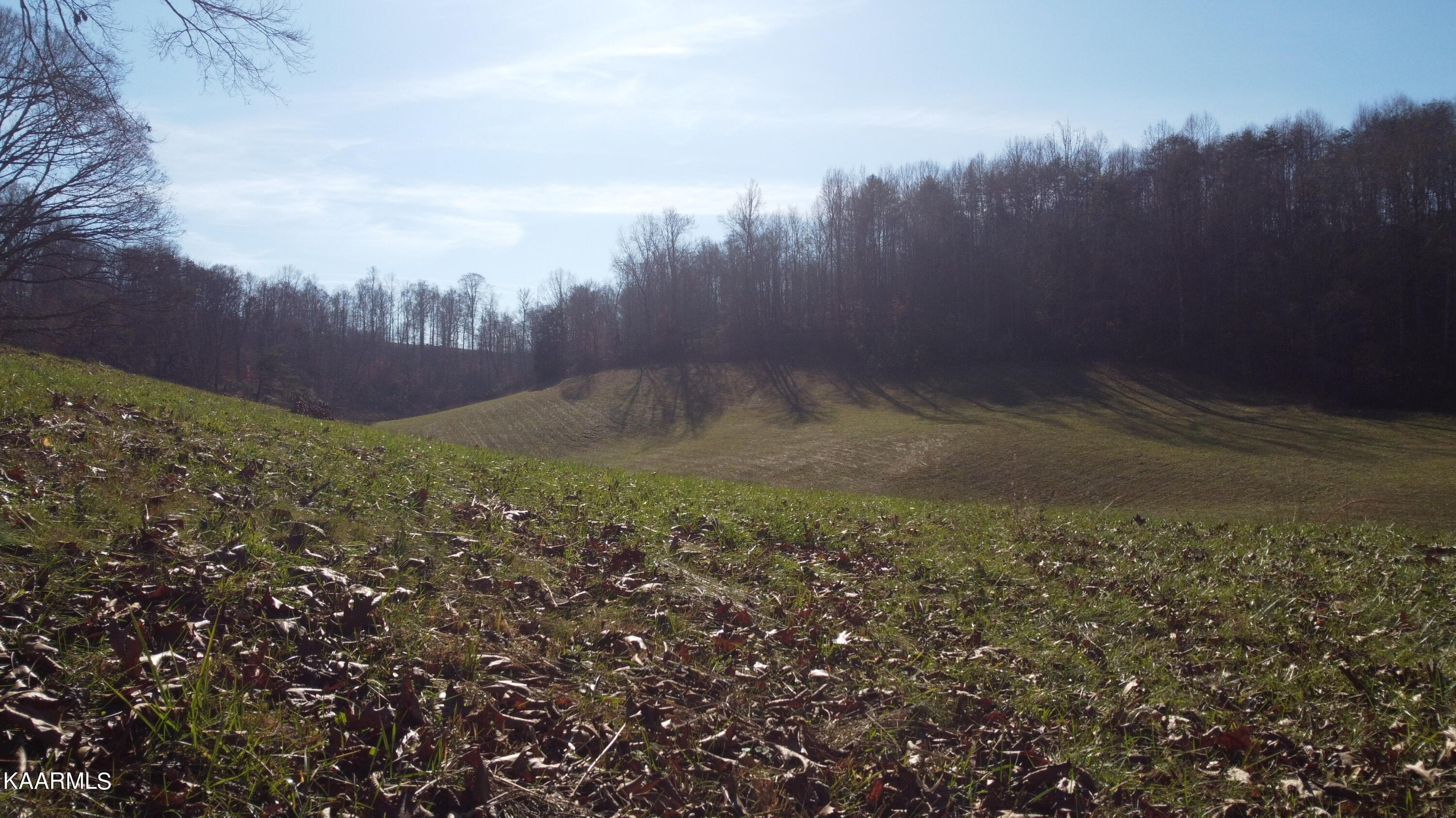 West Trent Valley Road Sneedville, TN 37869 - Photo 3 of 26 DJI_0865