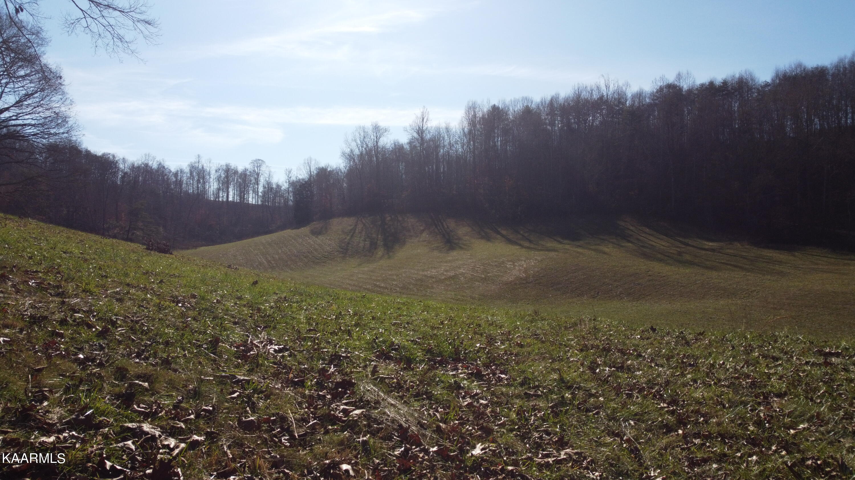 West Trent Valley Road Sneedville, TN 37869 - Photo 5 of 26 DJI_0867