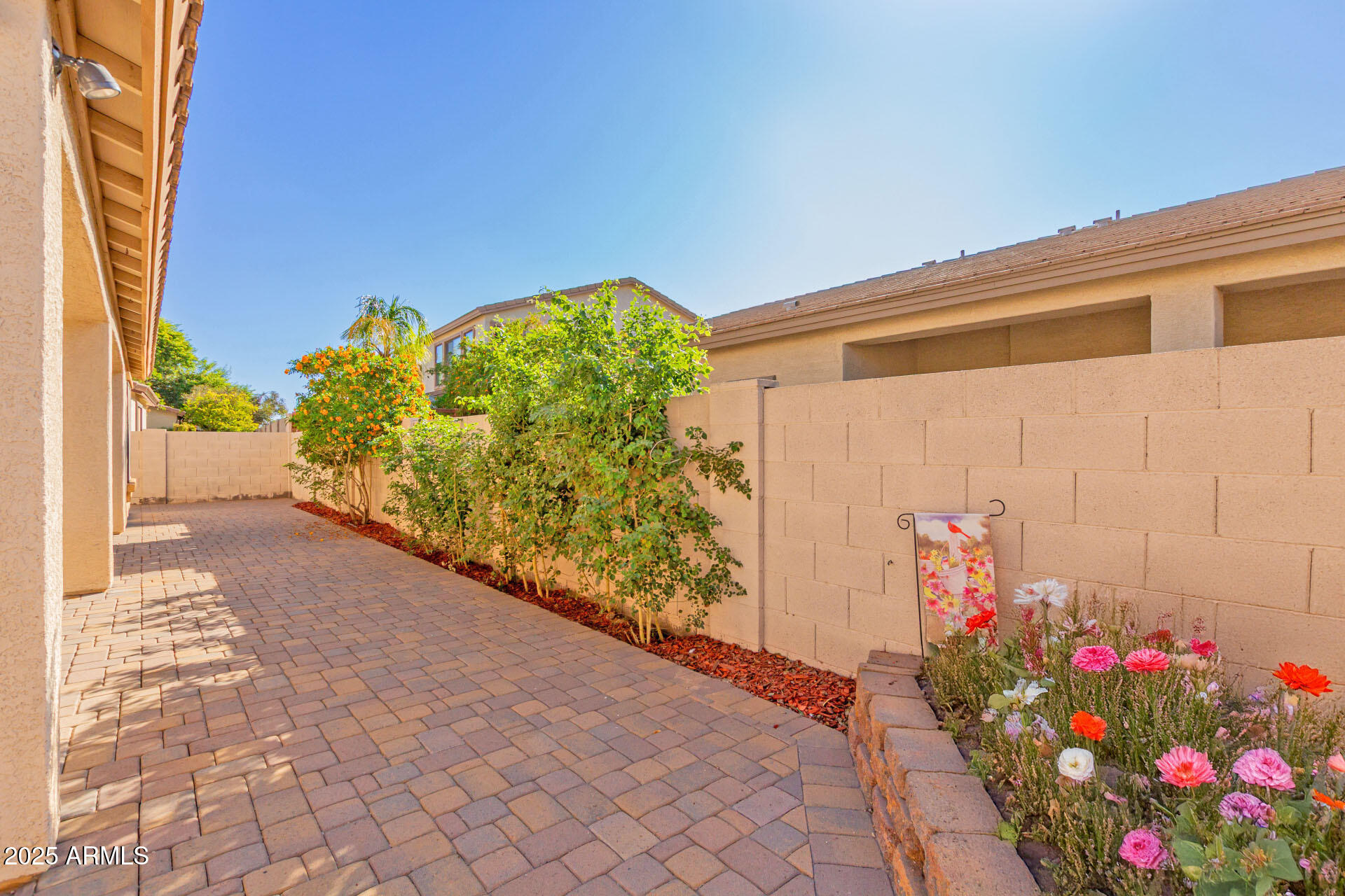 2179 East Cochise Avenue Apache Junction, AZ 85119 - Photo 41 of 46 Backyard 3.1