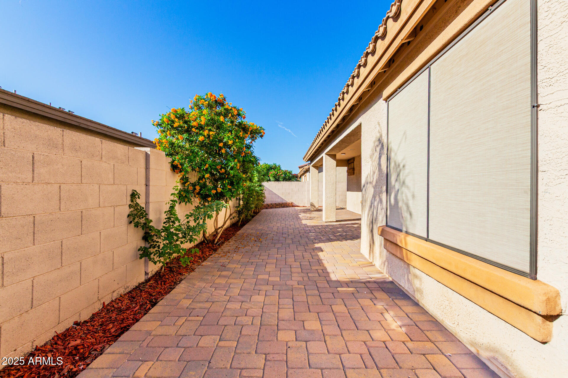 2179 East Cochise Avenue Apache Junction, AZ 85119 - Photo 42 of 46 Backyard 1